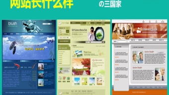 網(wǎng)站建設(shè) 構(gòu)建數(shù)字世界的基石